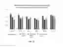 Fig. 06 - COMPOSITION FOR INCREASING EXPRESSION OF PGC-1alpha