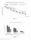 Fig. 16 - COMPOSITION FOR INCREASING EXPRESSION OF PGC-1alpha