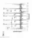 Fig. 06 - Cardiac cycle selection