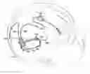 Fig. 01 - Seizure onset classification and stimulation parameter selection