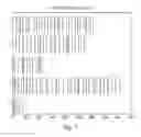 Fig. 06 - Non-regular electrical stimulation patterns for treating neurological disorders