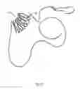 Fig. 18 - Coiling device
