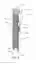 Fig. 07 - Valve grinding tool