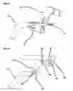 Fig. 07 - FORWARD TILTING PROTECTIVE CANOPY TOP FOR THREE-WHEELED VEHICLES AND AUTOCYCLES