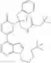 Fig. 249 - Pyrrolopyrimidine derivatives as TAM inhibitors