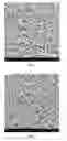 Fig. 02 - MICROSCAFFOLD