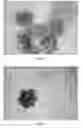 Fig. 04 - MICROSCAFFOLD