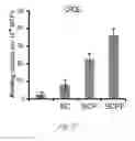 Fig. 04 - REPROGRAMMING CARDIOMYOCYTES WITH ONE TRANSCRIPTION FACTOR