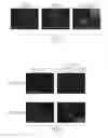 Fig. 08 - REPROGRAMMING CARDIOMYOCYTES WITH ONE TRANSCRIPTION FACTOR