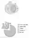 Fig. 01 - Methods and compositions for predicting a colon cancer subtype
