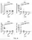 Fig. 22 - Methods and compositions for predicting a colon cancer subtype