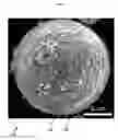 Fig. 02 - ALUMINUM ALLOYS WITH GRAIN REFINERS, AND METHODS FOR MAKING AND USING THE SAME