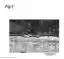 Fig. 02 - Cast steel projection material