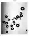 Fig. 09 - PLASMA CVD APPARATUS, PLASMA CVD METHOD, AND AGITATING DEVICE