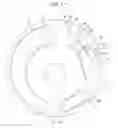 Fig. 08 - Internal gear pump