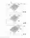 Fig. 04 - Nanofluidic devices for the rapid mapping of whole genomes and related systems and methods of analysis