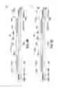 Fig. 09 - Information transmitting system for actuating and sensing module