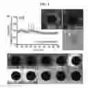 Fig. 02 - Compositions and methods for the detection of zinc
