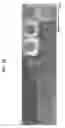 Fig. 07 - Compositions and methods for the detection of zinc