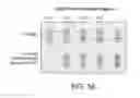 Fig. 49 - Methods and devices for integrating analyte extraction, concentration and detection