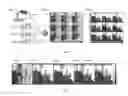 Fig. 06 - Depth field imaging apparatus, methods, and applications