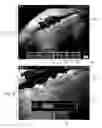 Fig. 08 - SYSTEMS AND METHODS FOR PROVIDING MONITORING STATE-BASED SELECTABLE BUTTONS TO NON-DESTRUCTIVE TESTING DEVICES