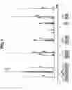 Fig. 02 - Sulfonium salt, polymer, resist composition, and patterning process