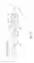 Fig. 12 - Developing appartus having a feeding member with radial projections