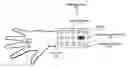 Fig. 01 - Armband for tracking hand motion using electrical impedance measurement