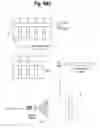 Fig. 07 - System and method for predicting and summarizing medical events from electronic health records