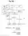 Fig. 09 - System and method for predicting and summarizing medical events from electronic health records