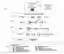 Fig. 01 - DETERMINING DIGITAL VALUE OF A DIGITAL TECHNOLOGY INITIATIVE