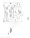 Fig. 12 - Hierarchical data information