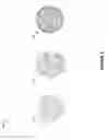 Fig. 08 - Systems and methods for real-time complex character animations and interactivity