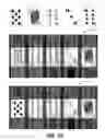 Fig. 02 - PRESENTATION OF VIDEO POKER GAME