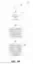 Fig. 06 - Hierarchical speech recognition resolution