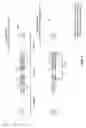 Fig. 04 - Encoding of multiple audio signals