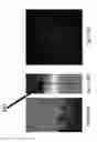 Fig. 09 - System and method for performing nano beam diffraction analysis