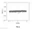 Fig. 07 - Templating layers for perpendicularly magnetized Heusler films