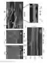 Fig. 05 - Flexible and conformable thermoelectric compositions