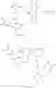 Fig. 49 - Bio-inspired polyflavin electrodes for energy storage devices