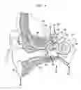 Fig. 02 - Sound capture focus adjustment for hearing prosthesis