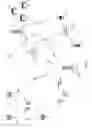 Fig. 02 - DMTC window reservation signal in NR shared spectrum