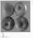 Fig. 03 - Apple tree named ‘MAIA-Z’