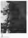 Fig. 04 - Apple tree named ‘MAIA-Z’