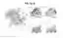Fig. 06 - SOYBEAN RESISTANT TO CYST NEMATODES
