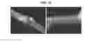 Fig. 11 - SOYBEAN RESISTANT TO CYST NEMATODES