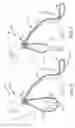 Fig. 07 - Pet harness devices