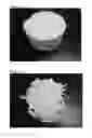 Fig. 02 - Vegan cheese analogue