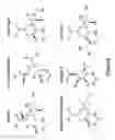 Fig. 08 - Intramolecular Trans-Sialidase